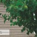 Сайдинг Ю-Пласт TIMBERBLOCK Пихта (Тимберблок) Cахалинская купить в Новокузнецке