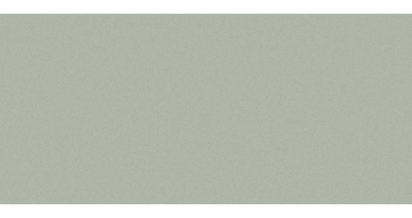 Сайдинг CEDRAL smooth (гладкий) С06 купить в Новокузнецке